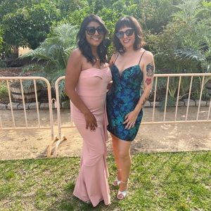 Dress the Population blush Paris Ruffle Dress